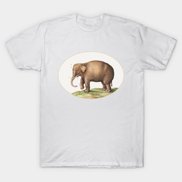 Elephant with Insects (1575–1580) T-Shirt by WAITE-SMITH VINTAGE ART